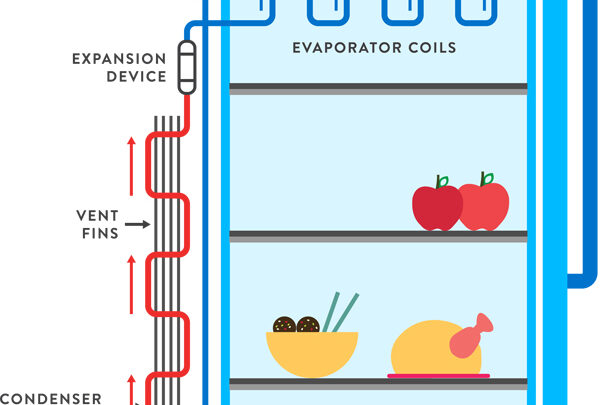 How does a Refrigerator work?