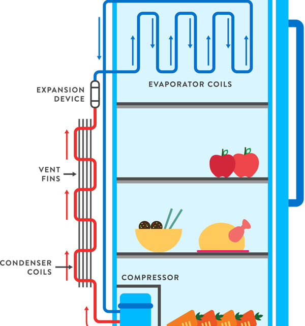 How does a Refrigerator work?